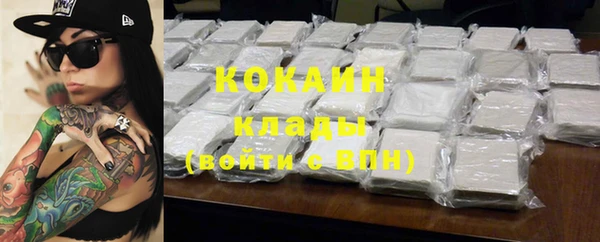 кокс Алексин