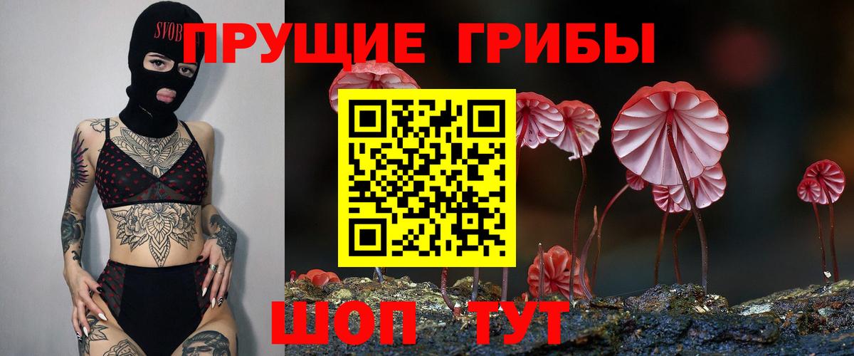 Псилоцибиновые грибы мухоморы Туймазы