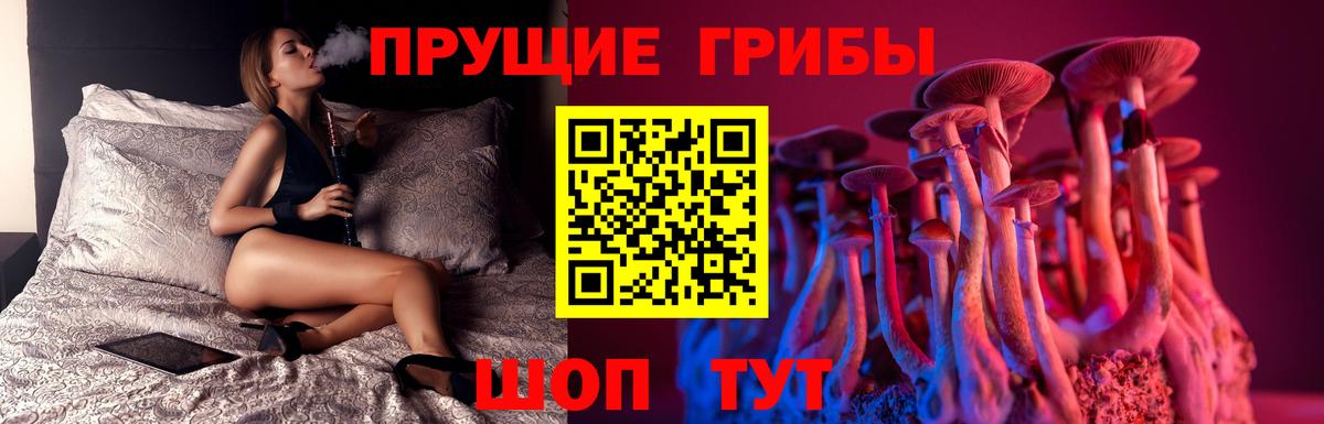 как найти   Галлюциногенные грибы мицелий  Вход с VPN  Туймазы 